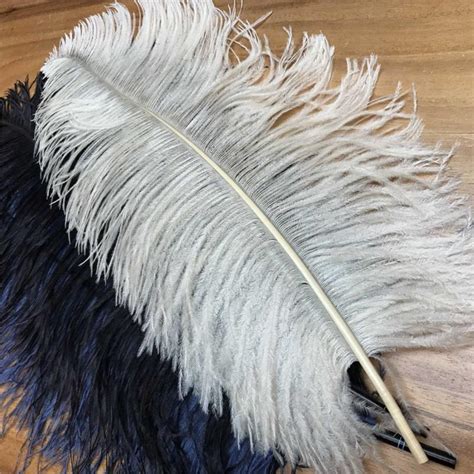 real ostrich feathers for sale.